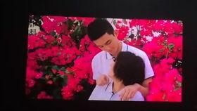 橘拍av了吗,揭秘网络迷雾中的真相与争议