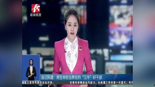 明星陈建,从影视新星到实力派演员的蜕变之路