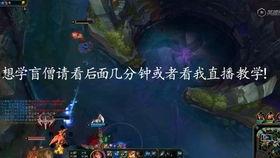 盲僧教学视频,跟随教学视频解锁神秘技能