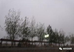 邢台头条最新爆料,最新爆料事件深度解析