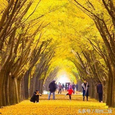 邳州热点爆料最新消息,突发事件引发关注，详情揭晓！