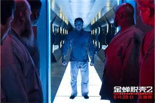 金蝉脱壳高清在线观看,惊险刺激的越狱传奇！